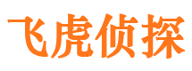 武清市调查取证